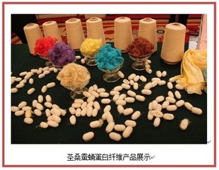 生物改性蛋白纖維面料、服裝生產(chǎn)技術(shù)開發(fā)及應用
