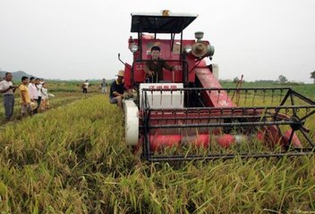 厄瓜多爾政府?dāng)M在農(nóng)業(yè)和服務(wù)行業(yè)推廣更加靈活的勞動(dòng)合同
