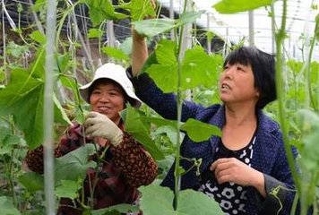 我市首筆集體資產(chǎn)經(jīng)營權(quán)質(zhì)押業(yè)務(wù)成功落地