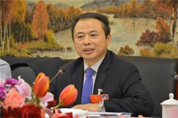 天能集團董事長張?zhí)烊危簭U舊鉛蓄電池規(guī)范化回收刻不容緩