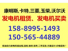 阜沙鎮(zhèn)發(fā)電機(jī)出租